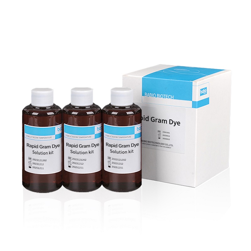 Rapid Gram Dye Solution dəsti